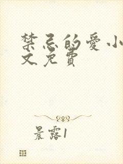 禁忌的爱小说全文免费