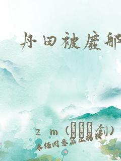 丹田被废那些年