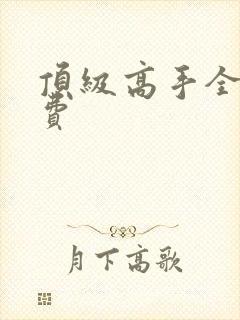 顶级高手全文免费