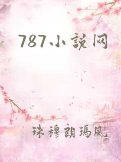 787小说网