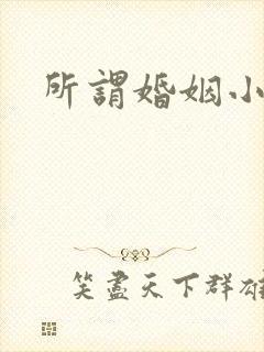 所谓婚姻小说
