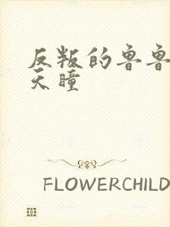 反叛的鲁鲁修之天瞳