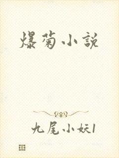 爆菊小说