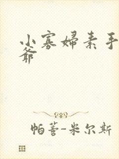 小寡妇素手擒四爷