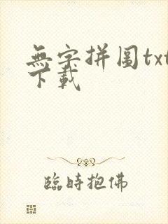 无字拼图txt下载