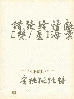 错发给情敌之后[双/产]海棠