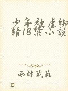 少年被虐绑着榨精18禁小说