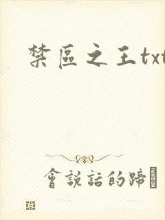 禁区之王txt