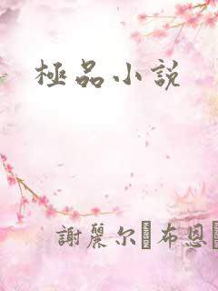 极品小说