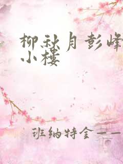 柳秋月彭峰月满小楼