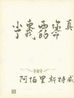 小东西你真能要了我的命