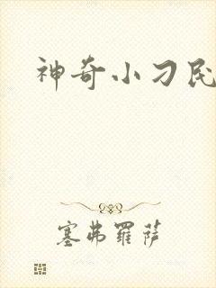 神奇小刁民