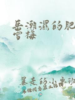 岳潮湿的肥厚李雪梅