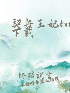 契丹王妃txt下载