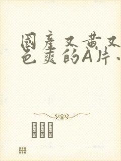 国产又黄又大又色爽的A片小说