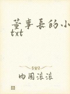 董事长的小王爷txt