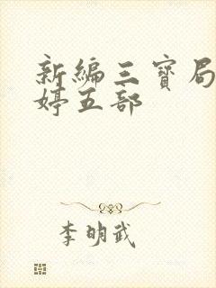 新编三宝局长许婷五部