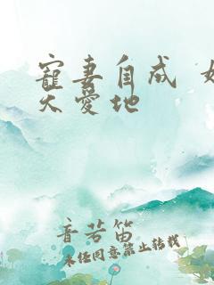 宠妻自成  婚天爱地