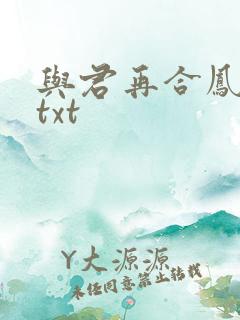 与君再合凤求凰txt