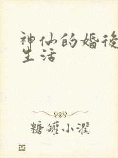 神仙的婚后都市生活