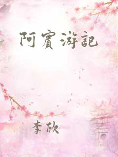 阿宾游记