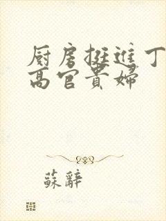 厨房挺进丁字裤高官贵妇