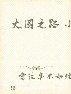 大国之路 小说