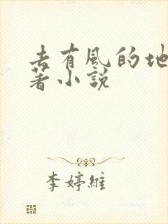 去有风的地方原著小说