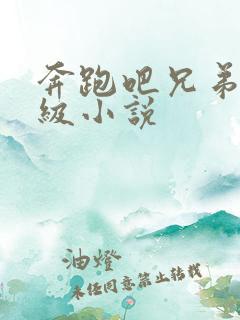 奔跑吧兄弟限制级小说