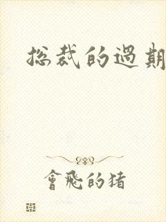 总裁的过期情人