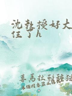 沈教授好大含不住了h