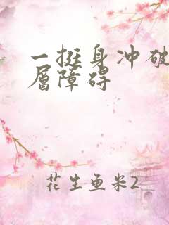 一挺身冲破了那层障碍