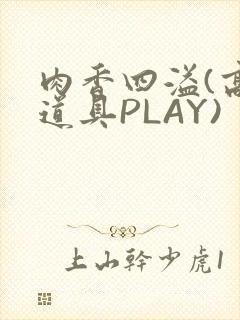 肉香四溢(高H道具PLAY)