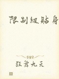 限制级贴身高手