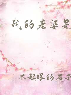 我的老婆是卧底