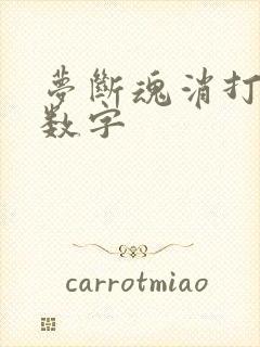 梦断魂消打三个数字