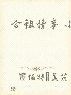 合租情事 小说