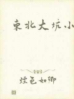 东北大坑小说