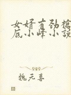 女婿有劲枪枪到底小峰小说