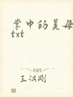 掌中的美母版主txt
