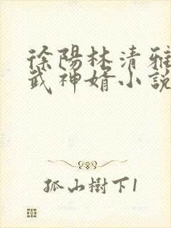 徐阳林清雅绝世武神婿小说