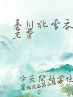 秦川北雪衣小说免费