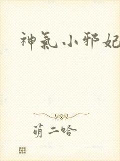 神气小邪妃