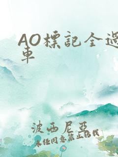 AO标记全过程车