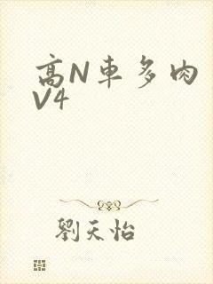 高N车多肉多1V4