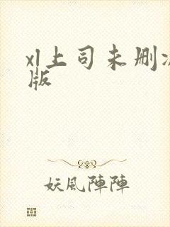 xl上司未删减版