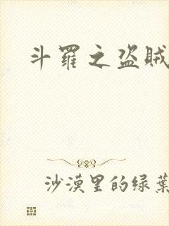 斗罗之盗贼