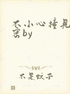 不小心撞见的秘密by