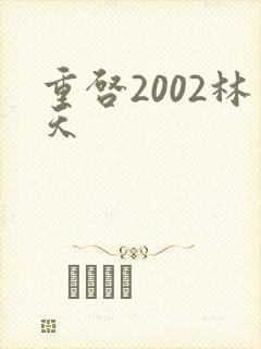 重启2002林天