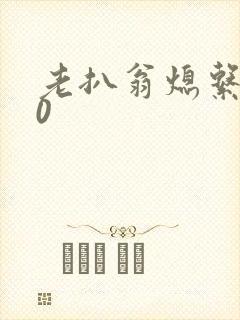 老扒翁熄系列40